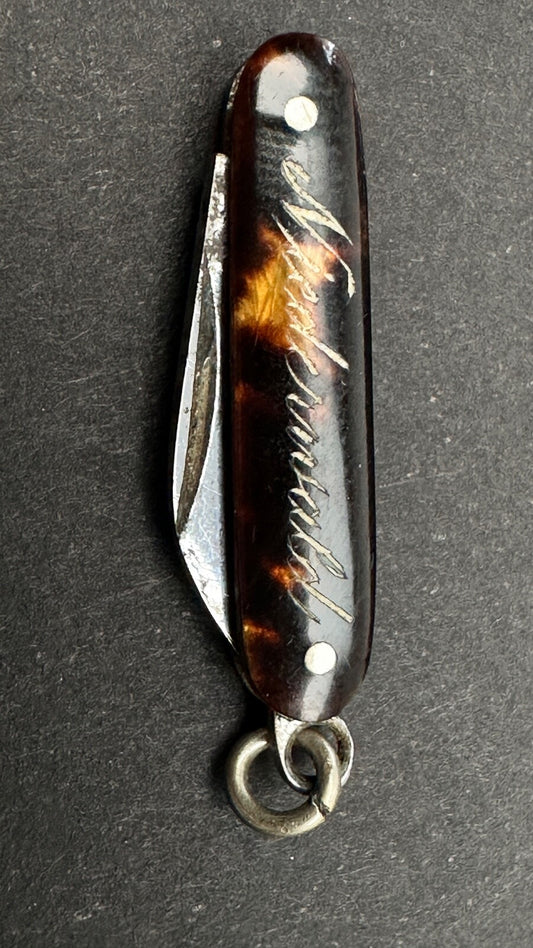 Tout Petit Couteau Pliant, Canif Miniature En écaille XIXème