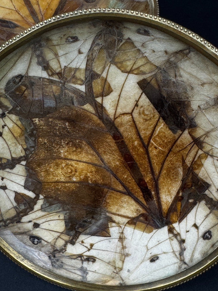 Paire de coupelles Napoléon III – Ailes de papillons , monture en laiton