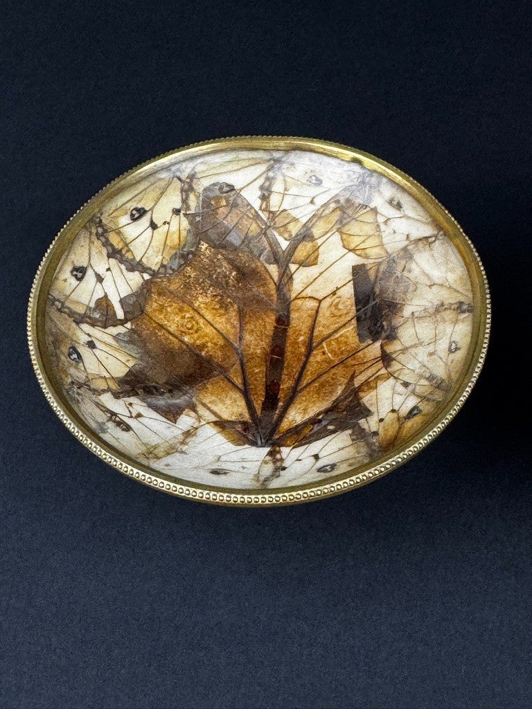 Paire de coupelles Napoléon III – Ailes de papillons , monture en laiton
