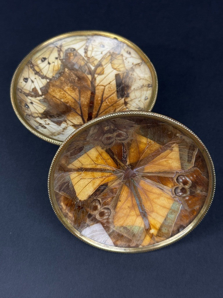 Paire de coupelles Napoléon III – Ailes de papillons , monture en laiton