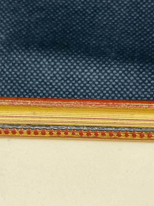 Belle gravure Nature Jardin IV Perruche Guaruba