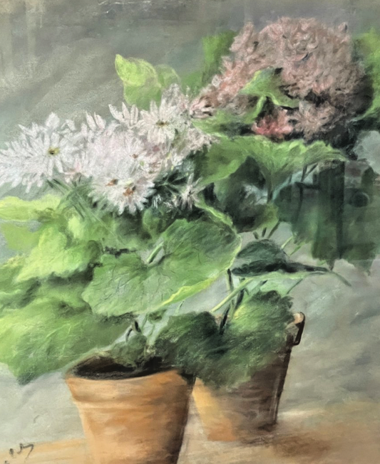 Pastel, Plantes En Pot