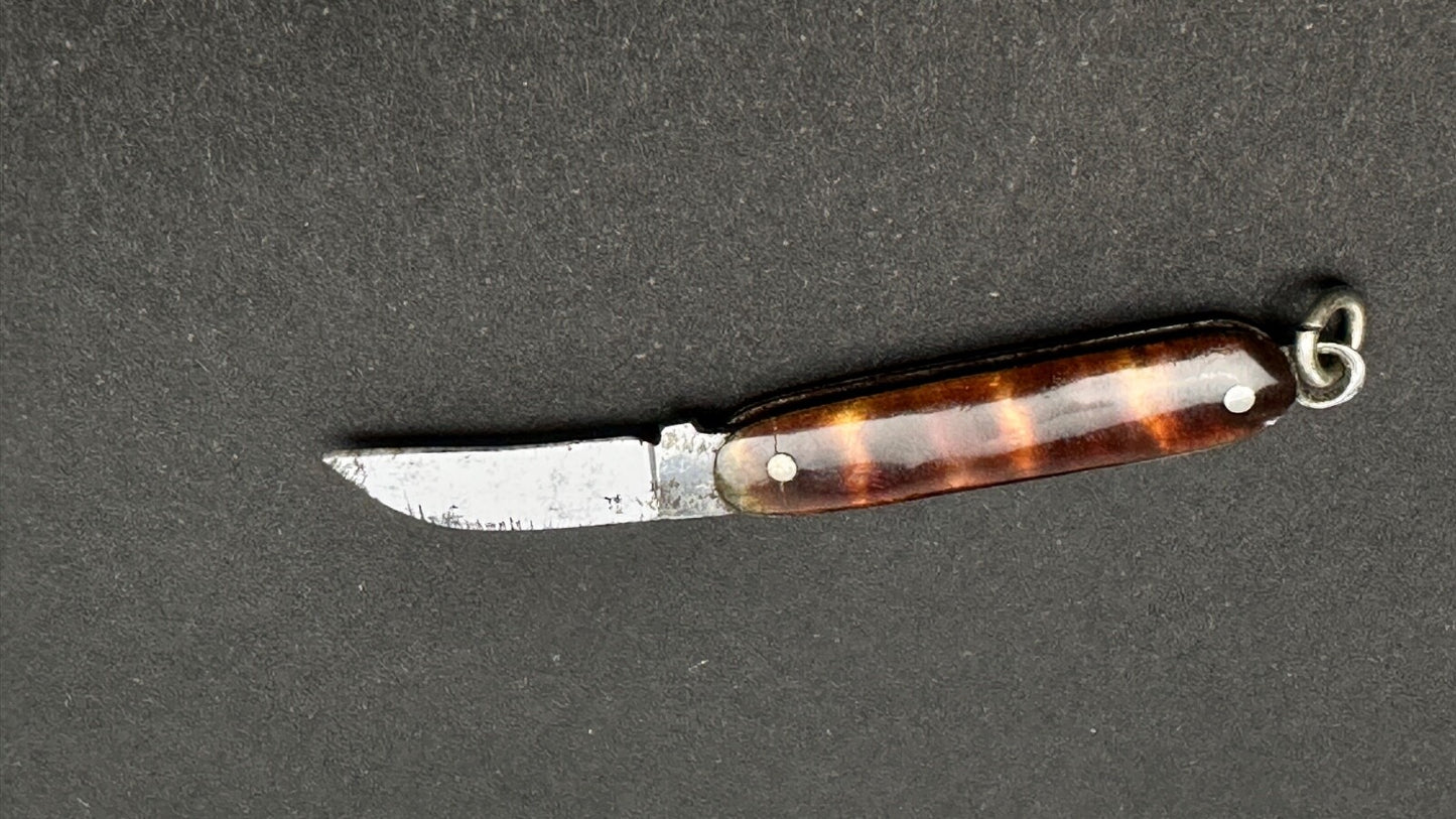 Tout Petit Couteau Pliant, Canif Miniature En écaille XIXème