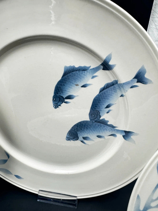 Villeroy & Boch Pescara Service porcelaine poissons bleus 6 assiettes + plat