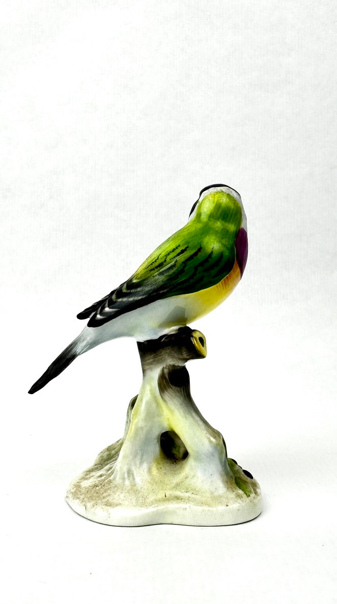 Oiseau en porcelaine Royal Adderley – “Black Headed Gouldian Finch