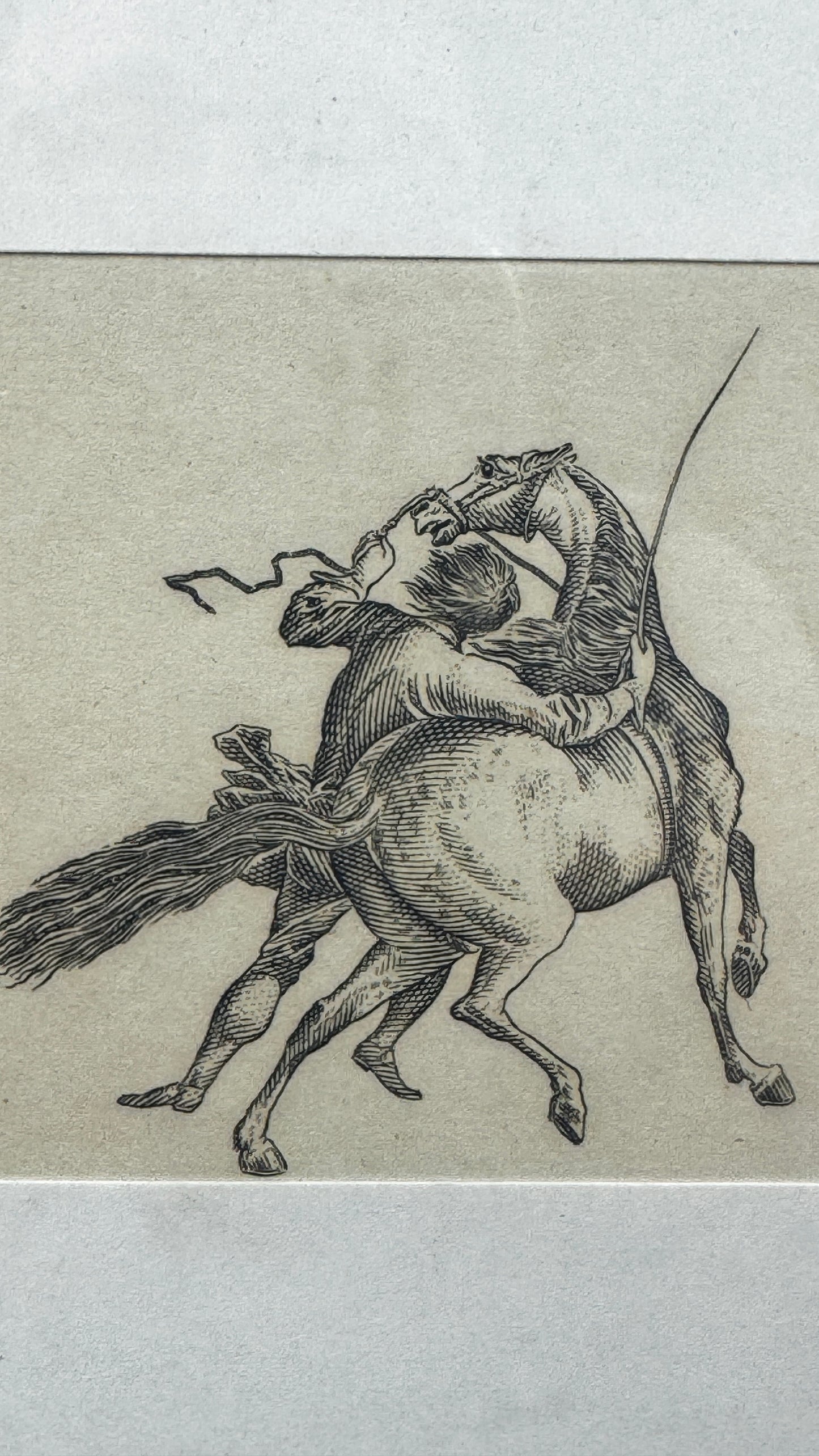 Petite gravure, scène de dressage