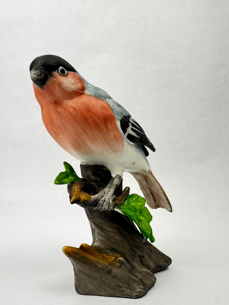 Bouvreuil pivoine en porcelaine non émaillée – vers 1950