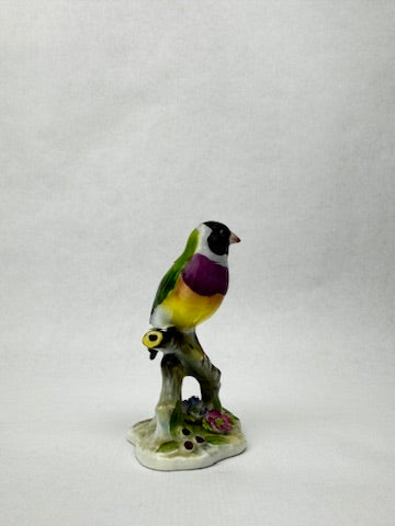Oiseau en porcelaine Royal Adderley – “Black Headed Gouldian Finch
