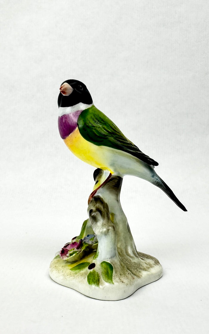 Oiseau en porcelaine Royal Adderley – “Black Headed Gouldian Finch