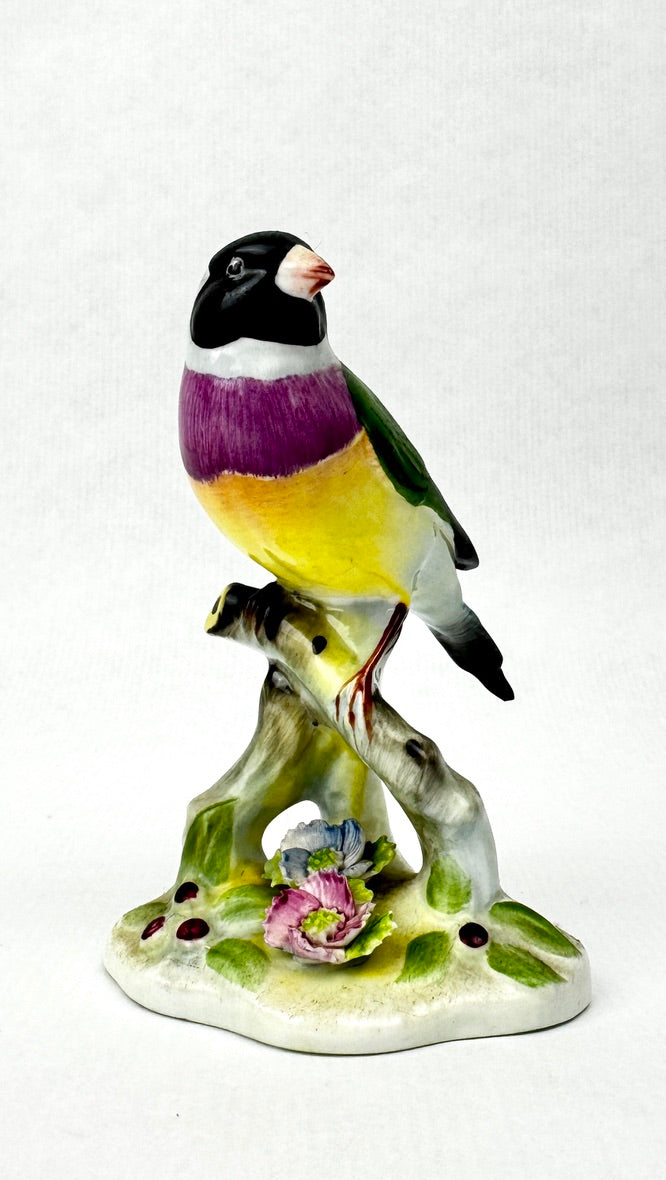 Oiseau en porcelaine Royal Adderley – “Black Headed Gouldian Finch