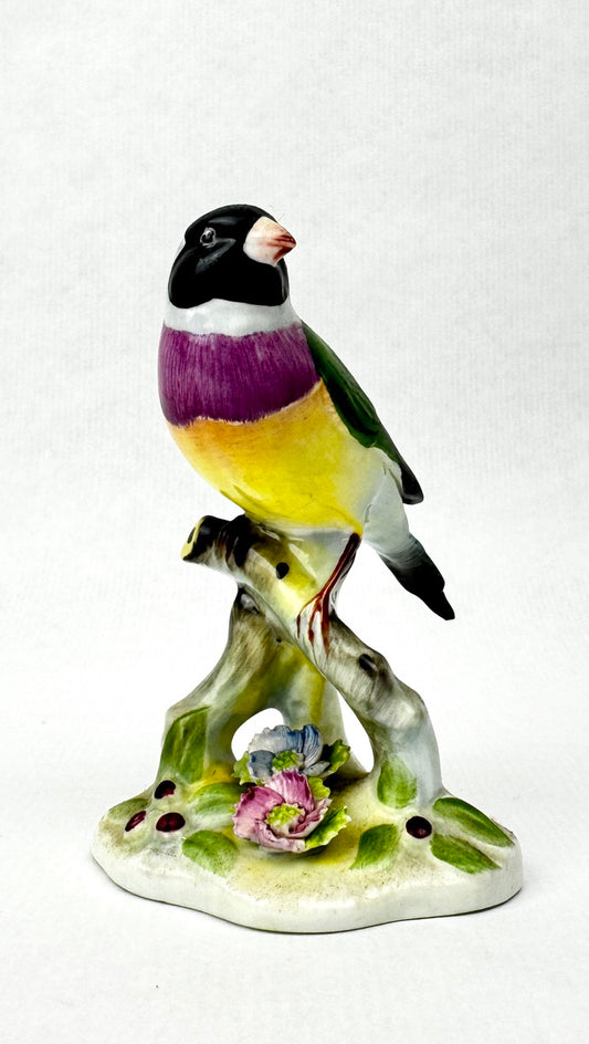 Oiseau en porcelaine Royal Adderley – “Black Headed Gouldian Finch