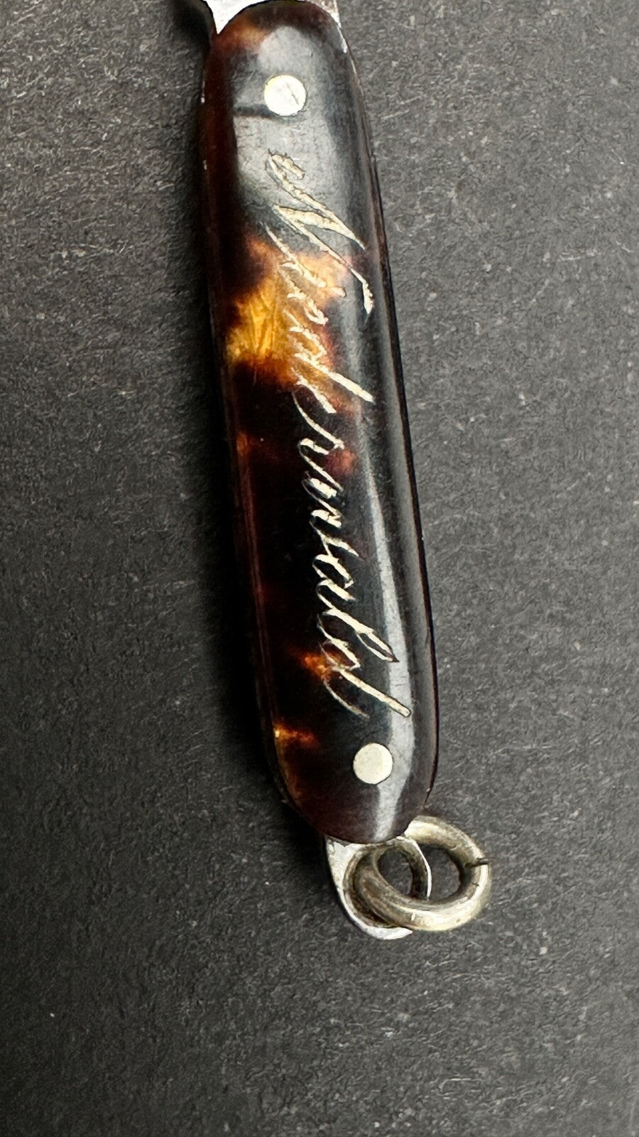 Tout Petit Couteau Pliant, Canif Miniature En écaille XIXème