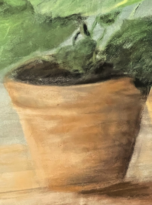 Pastel, Plantes En Pot