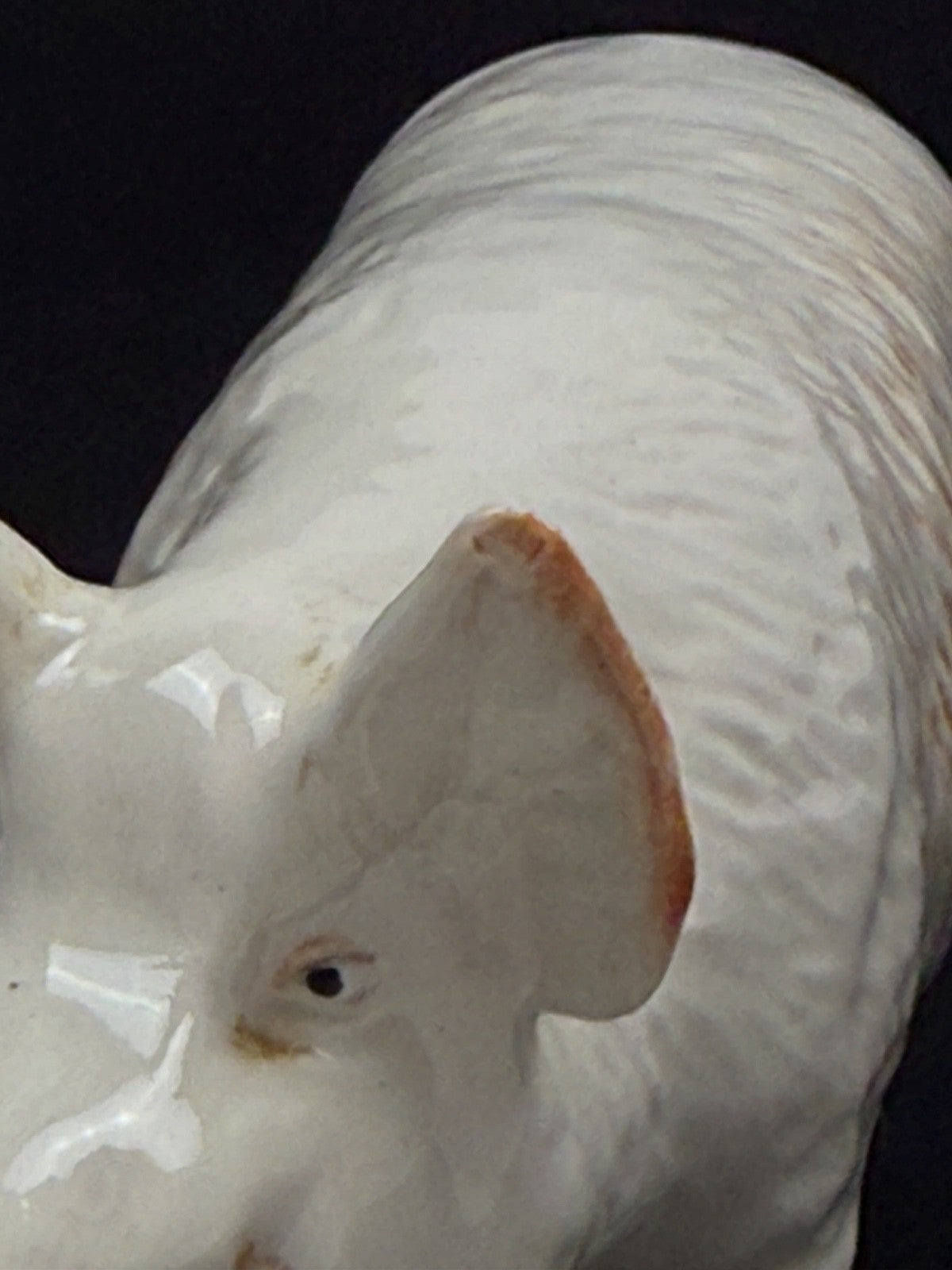 Cochon en porcelaine anglaise Beswick CH Boy 53