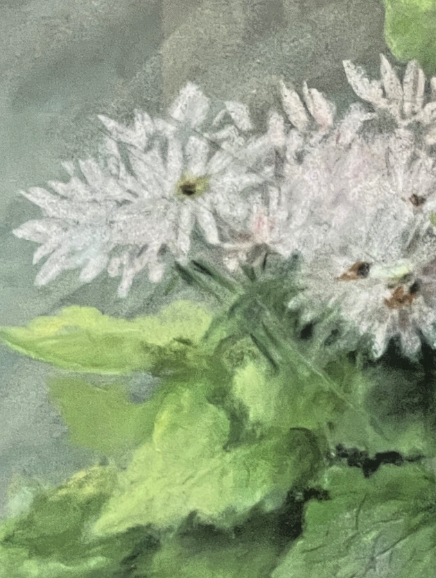 Pastel, Plantes En Pot