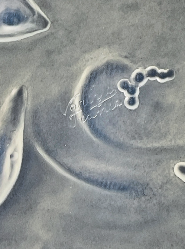 Verlys, Coupe En Verre Irisé à Décor d'Oies Et De Poissons