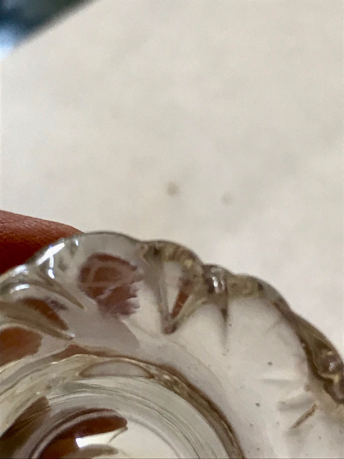 Verre à liqueur en cristal  Daum modèle kim 