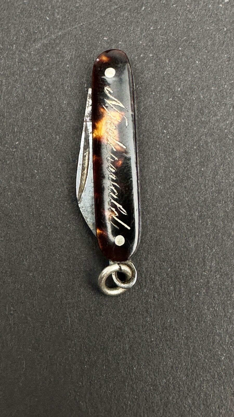 Tout Petit Couteau Pliant, Canif Miniature En écaille XIXème