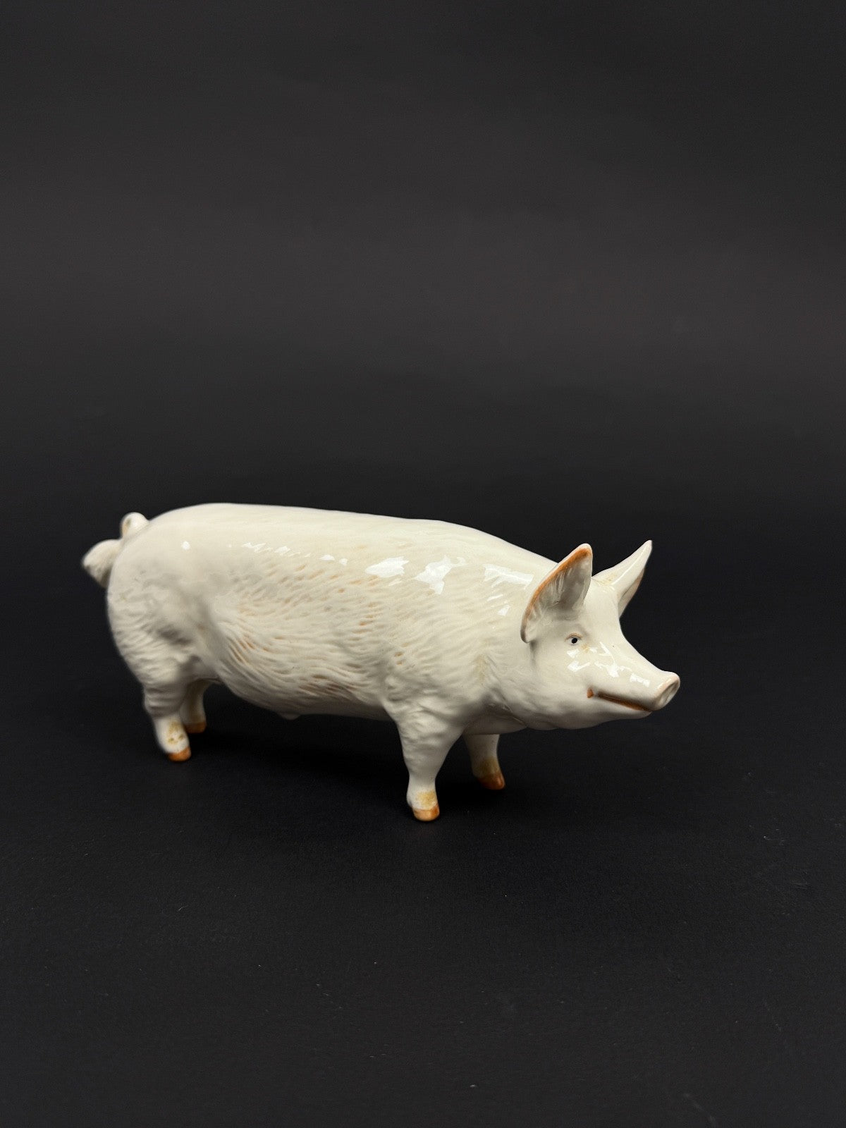 Cochon en porcelaine anglaise Beswick CH Boy 53
