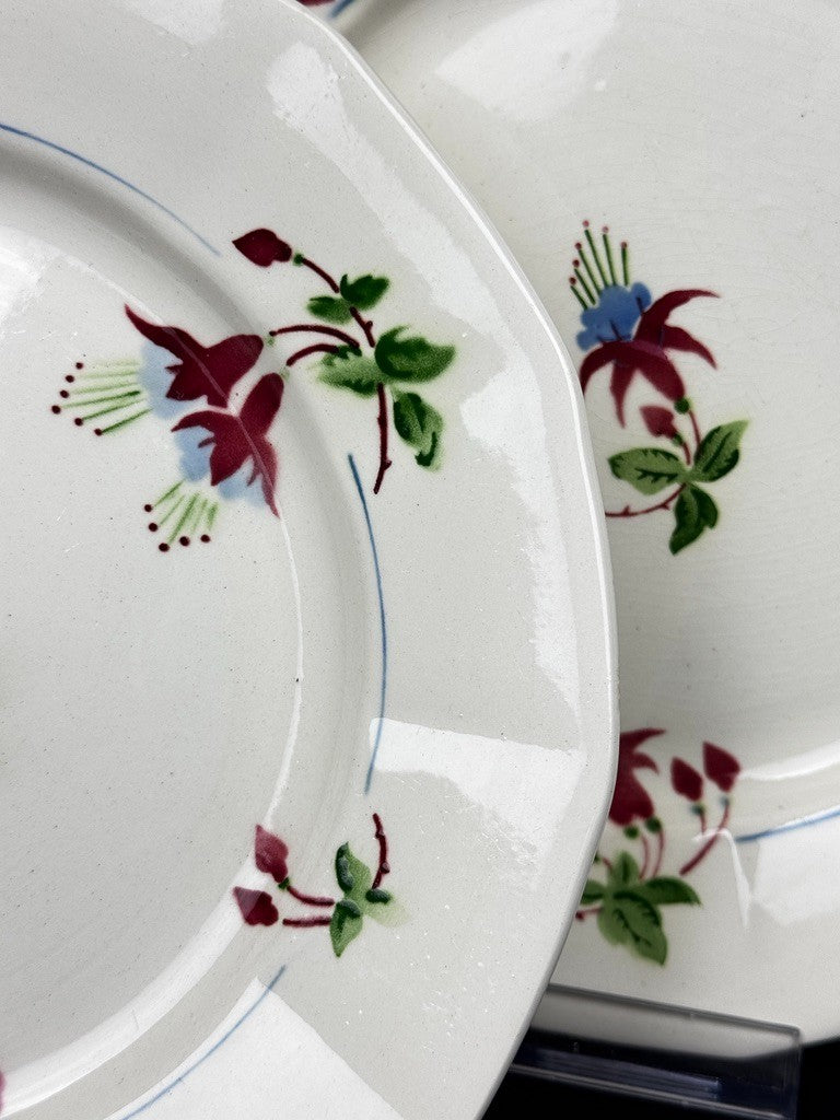Lot de 6 assiettes plates Sarreguemines, modèle Bermudes – vers 1950