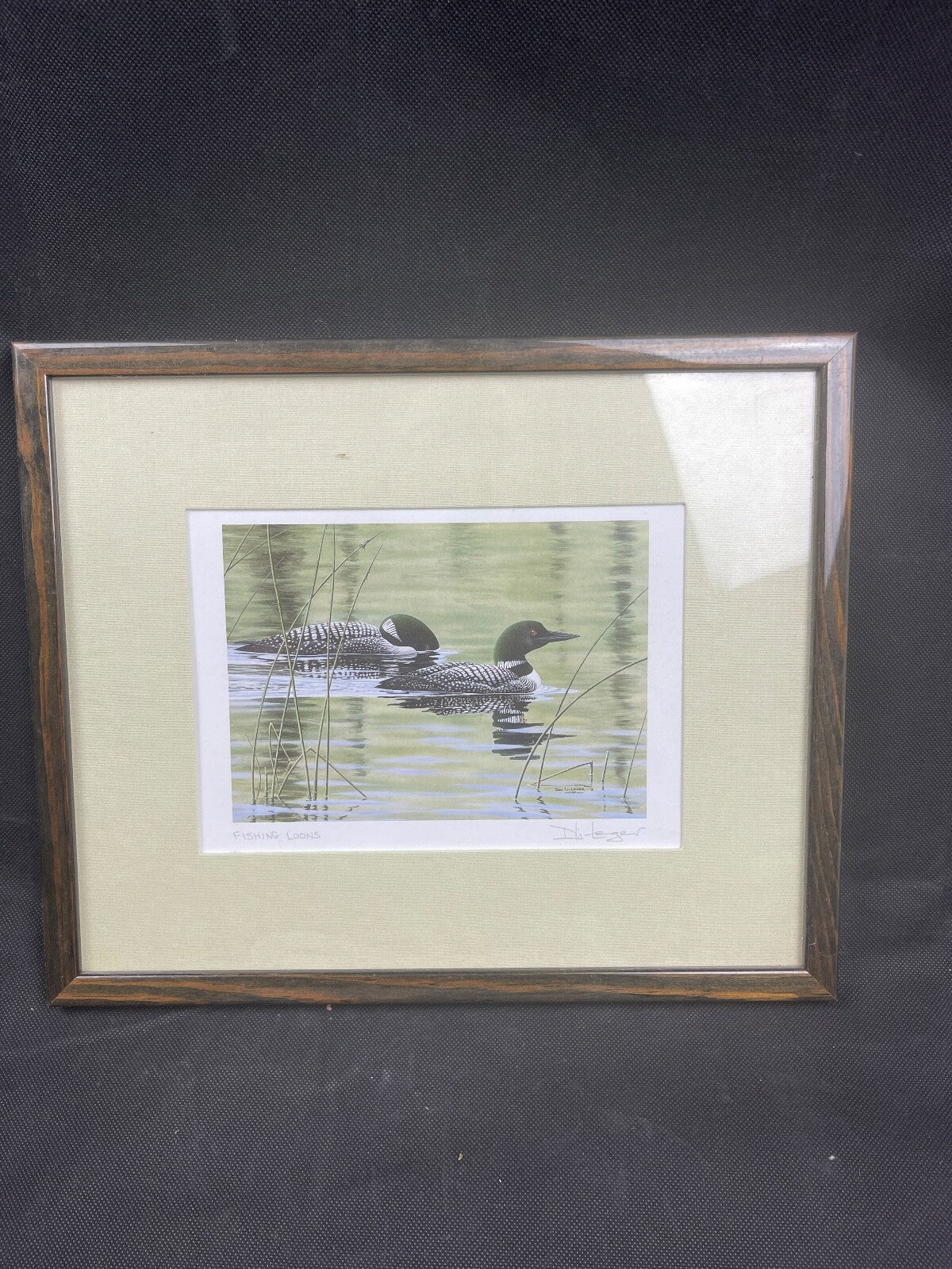 Reproduction lithographie canards  par Don Li-Leger