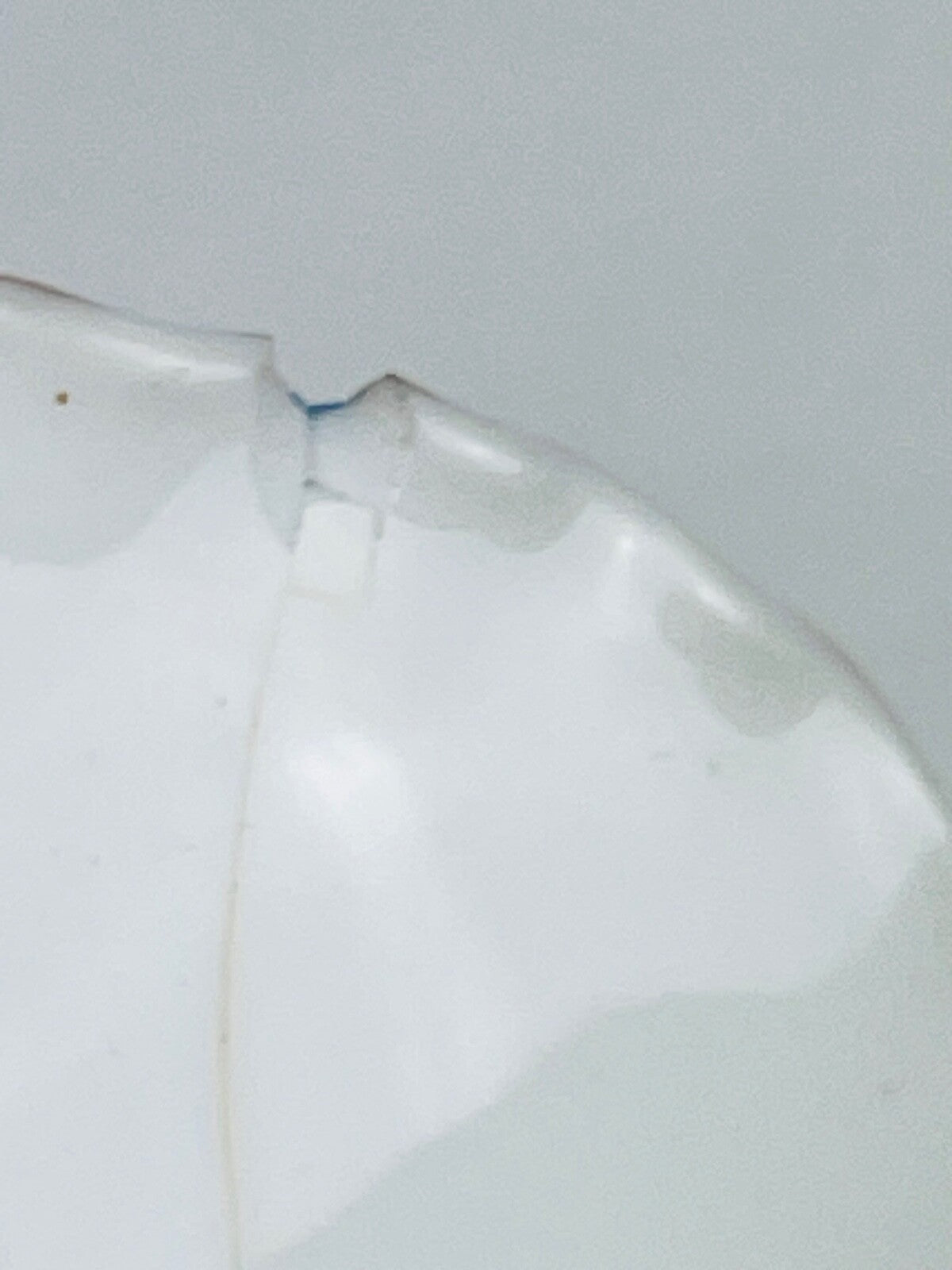 Rare coupe Frank Haviland et Sèvres motif au Chinois
