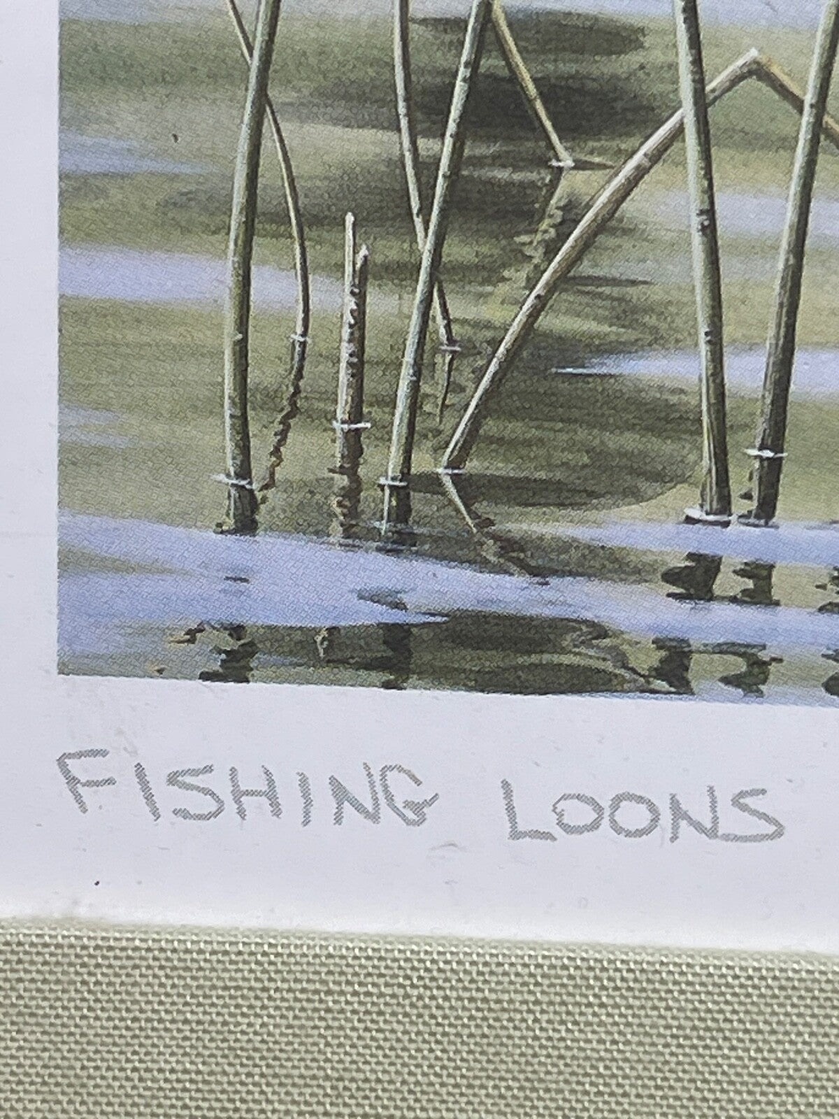 Reproduction lithographie canards  par Don Li-Leger