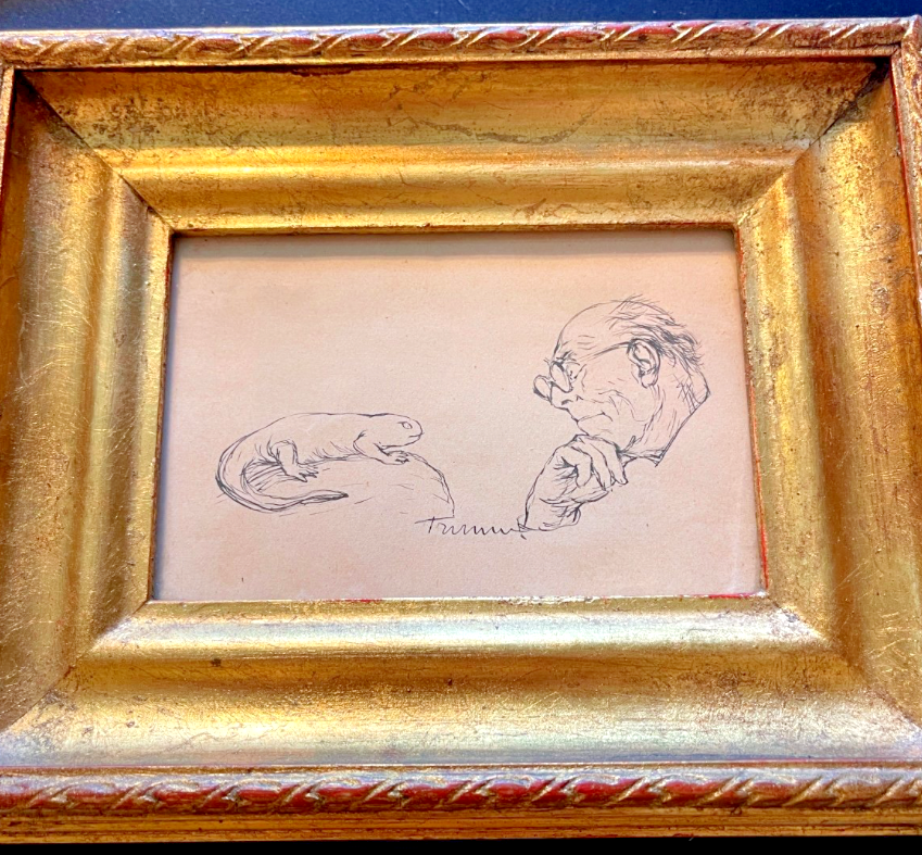 Dessin, Encre, Homme à La Salamandre