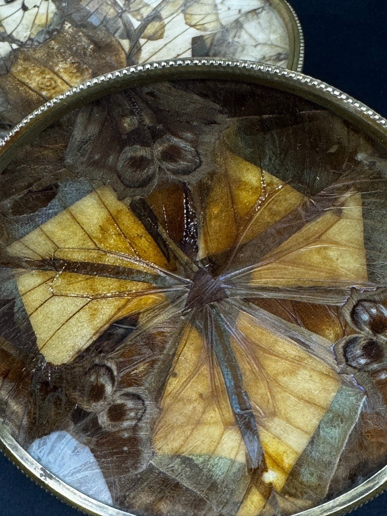 Paire de coupelles Napoléon III – Ailes de papillons , monture en laiton