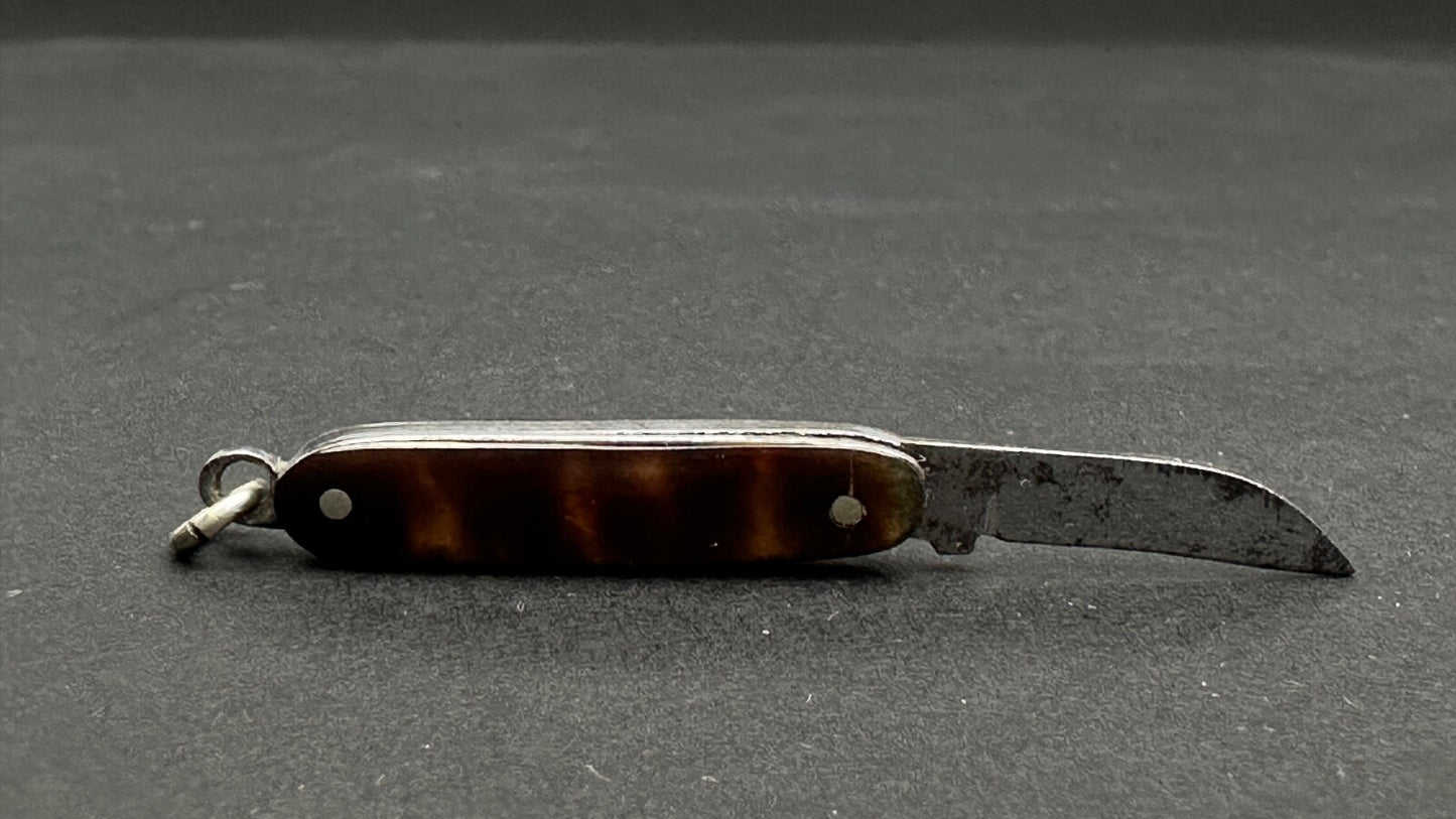 Tout Petit Couteau Pliant, Canif Miniature En écaille XIXème
