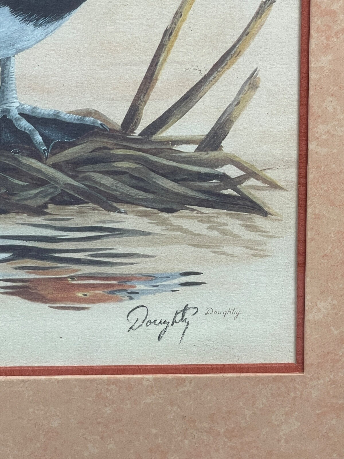 Reproduction lithographie canard  par Doughty