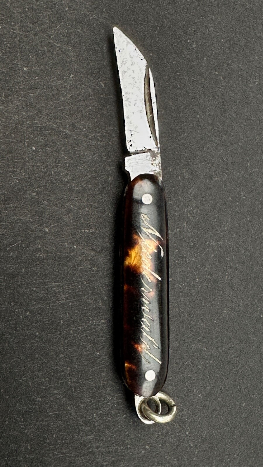 Tout Petit Couteau Pliant, Canif Miniature En écaille XIXème