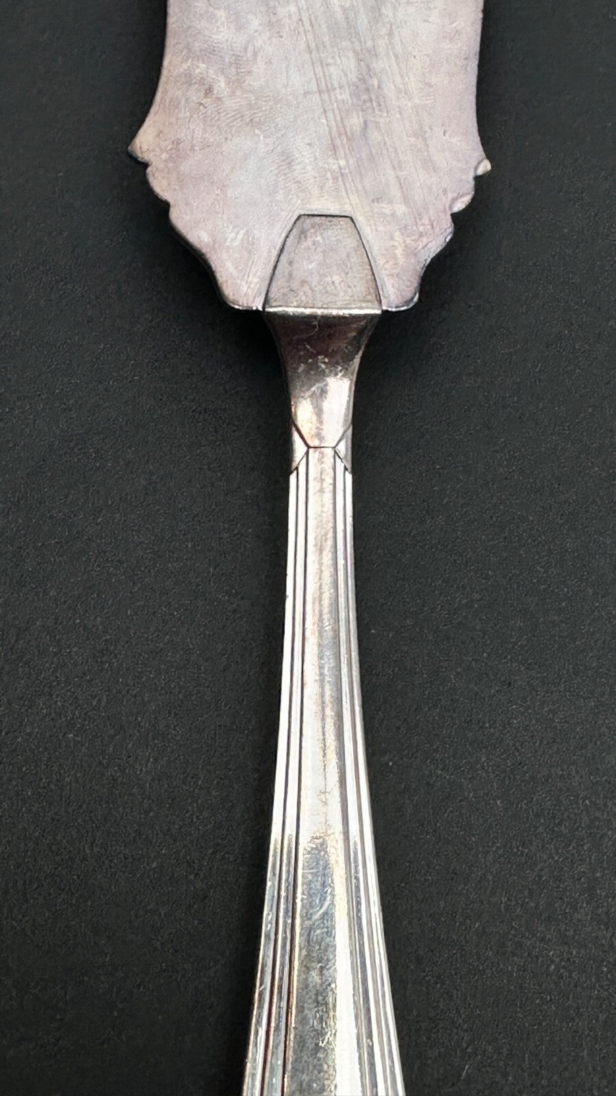 Apollo, Service à Poisson En Métal Argenté