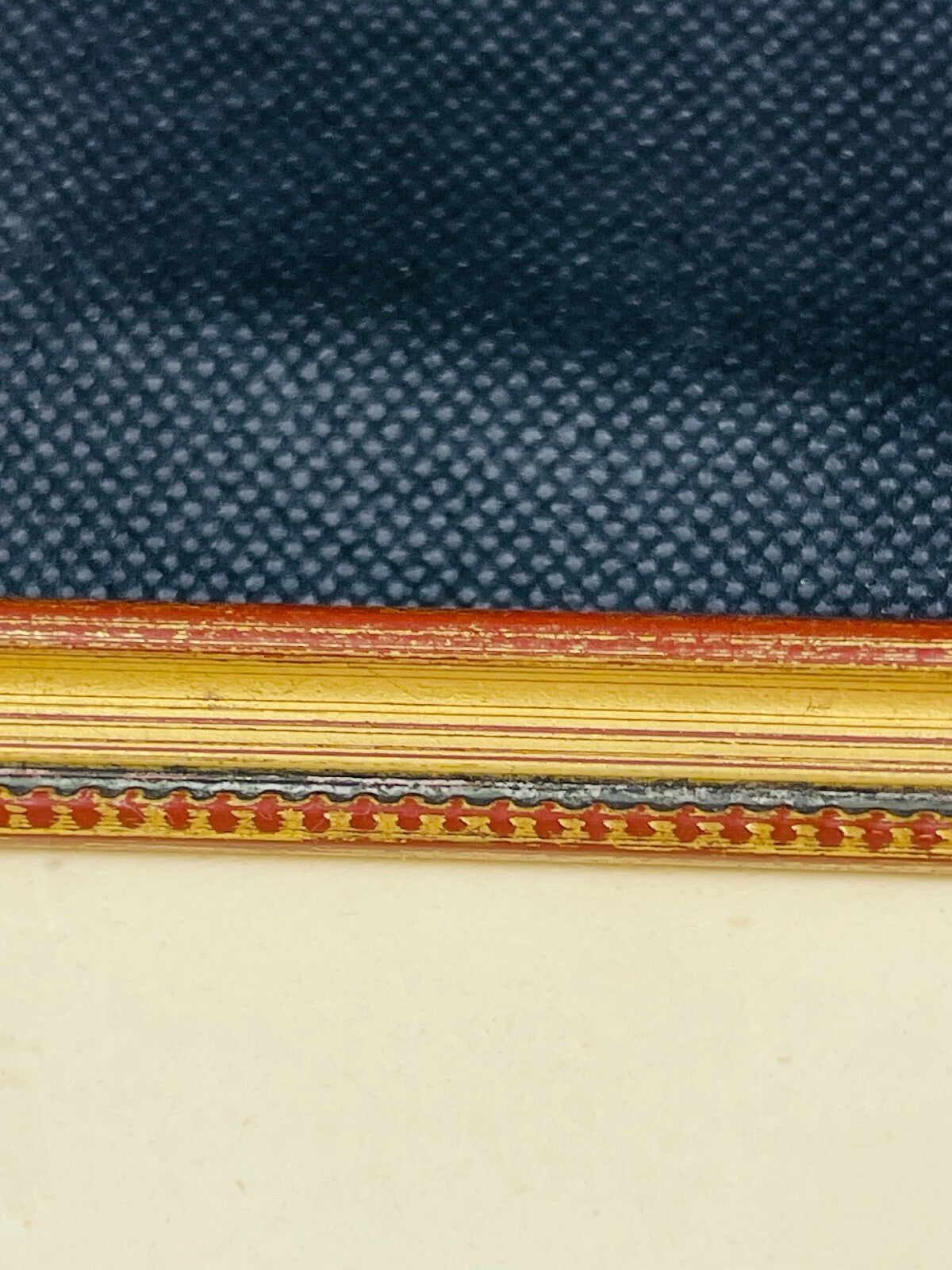 Belle gravure Nature Jardin IV Perruche Guaruba