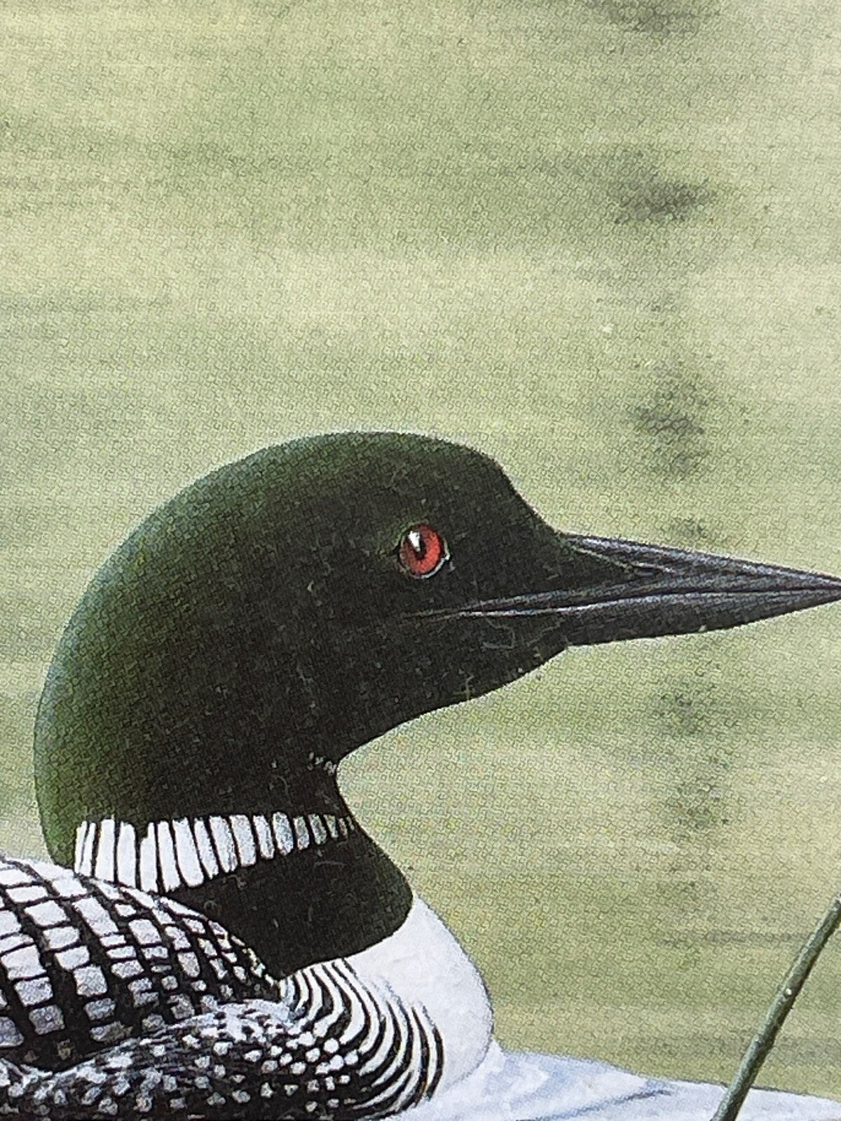 Reproduction lithographie canards  par Don Li-Leger