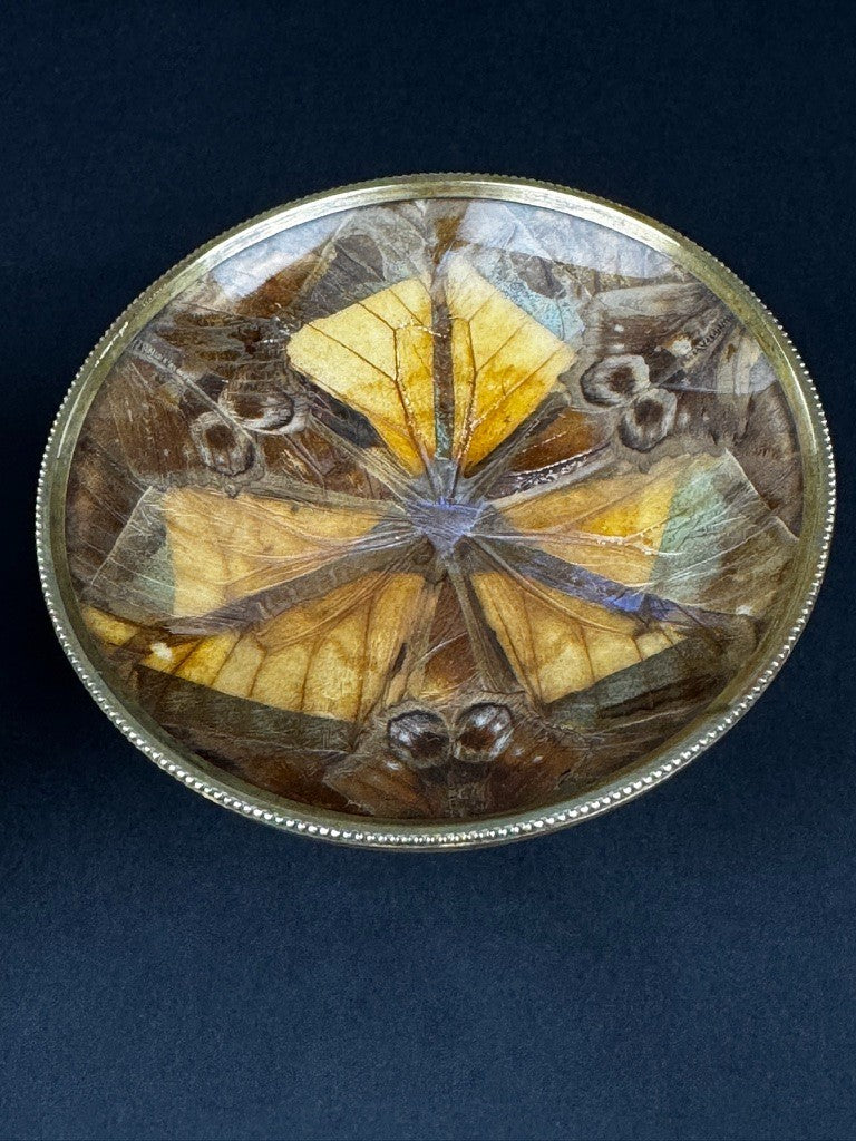 Paire de coupelles Napoléon III – Ailes de papillons , monture en laiton