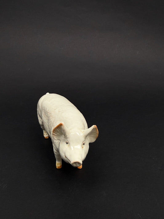 Cochon en porcelaine anglaise Beswick CH Boy 53