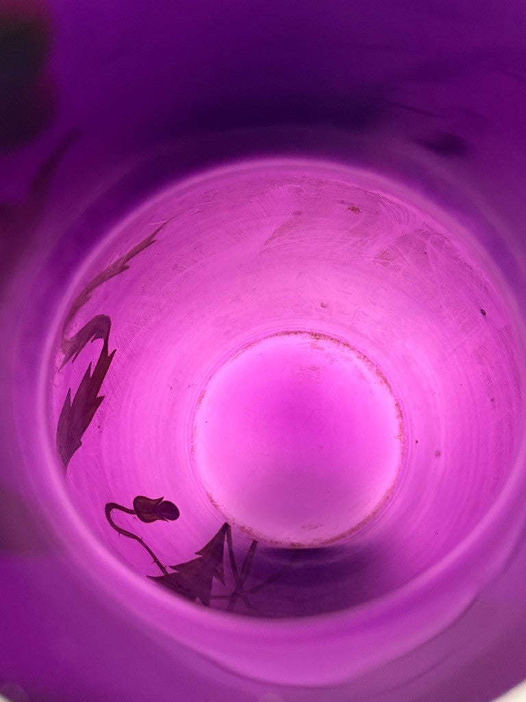Vase Art Nouveau en verre émaillé violet décor de pavots, Poschinger vers 1900