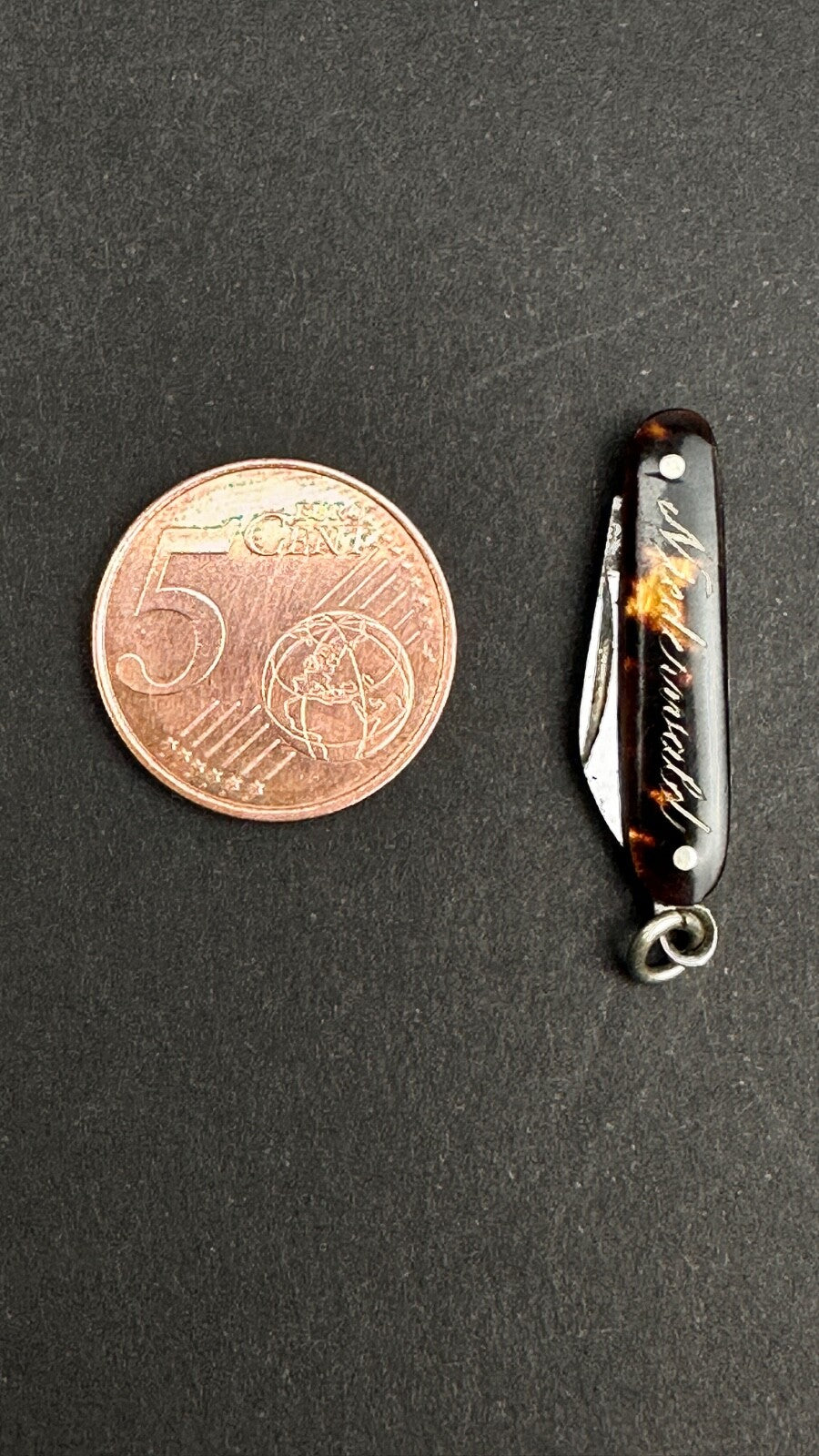 Tout Petit Couteau Pliant, Canif Miniature En écaille XIXème
