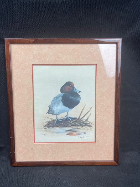 Reproduction lithographie canard  par Doughty
