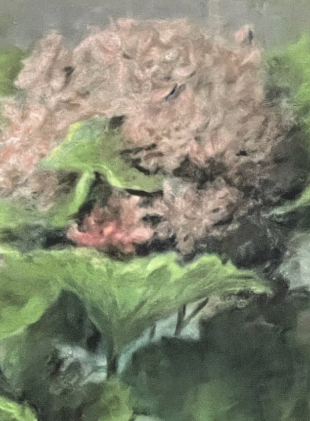 Pastel, Plantes En Pot