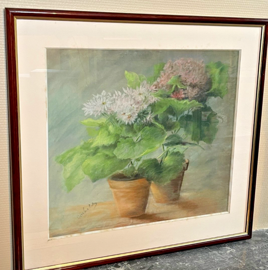 Pastel, Plantes En Pot
