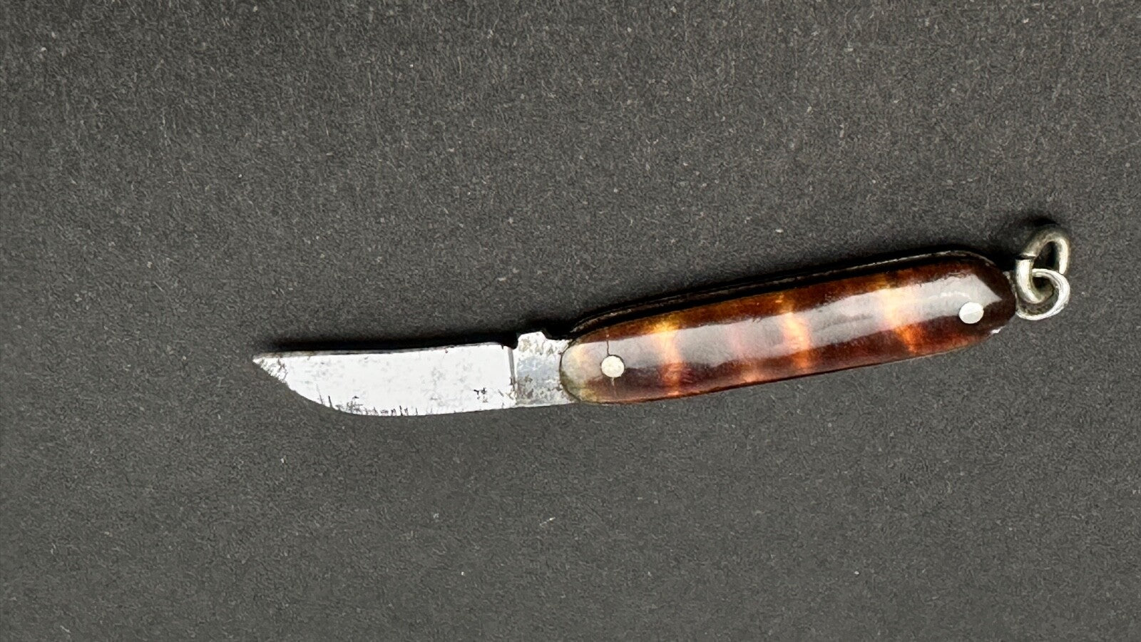 Tout Petit Couteau Pliant, Canif Miniature En écaille XIXème
