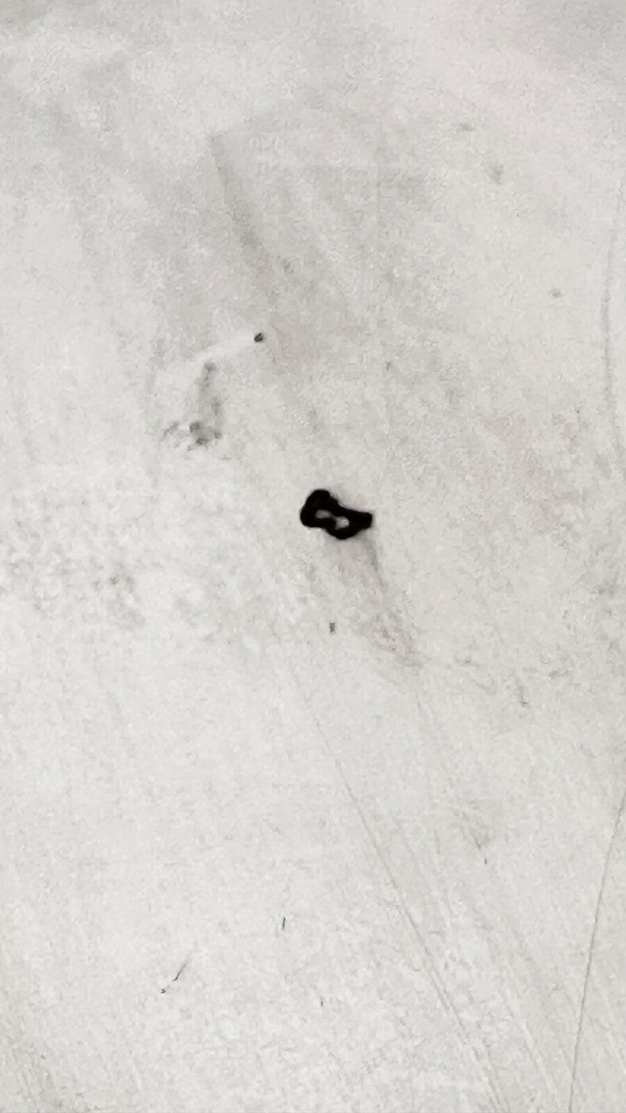 Casserole à sauce métal argenté manche ébène