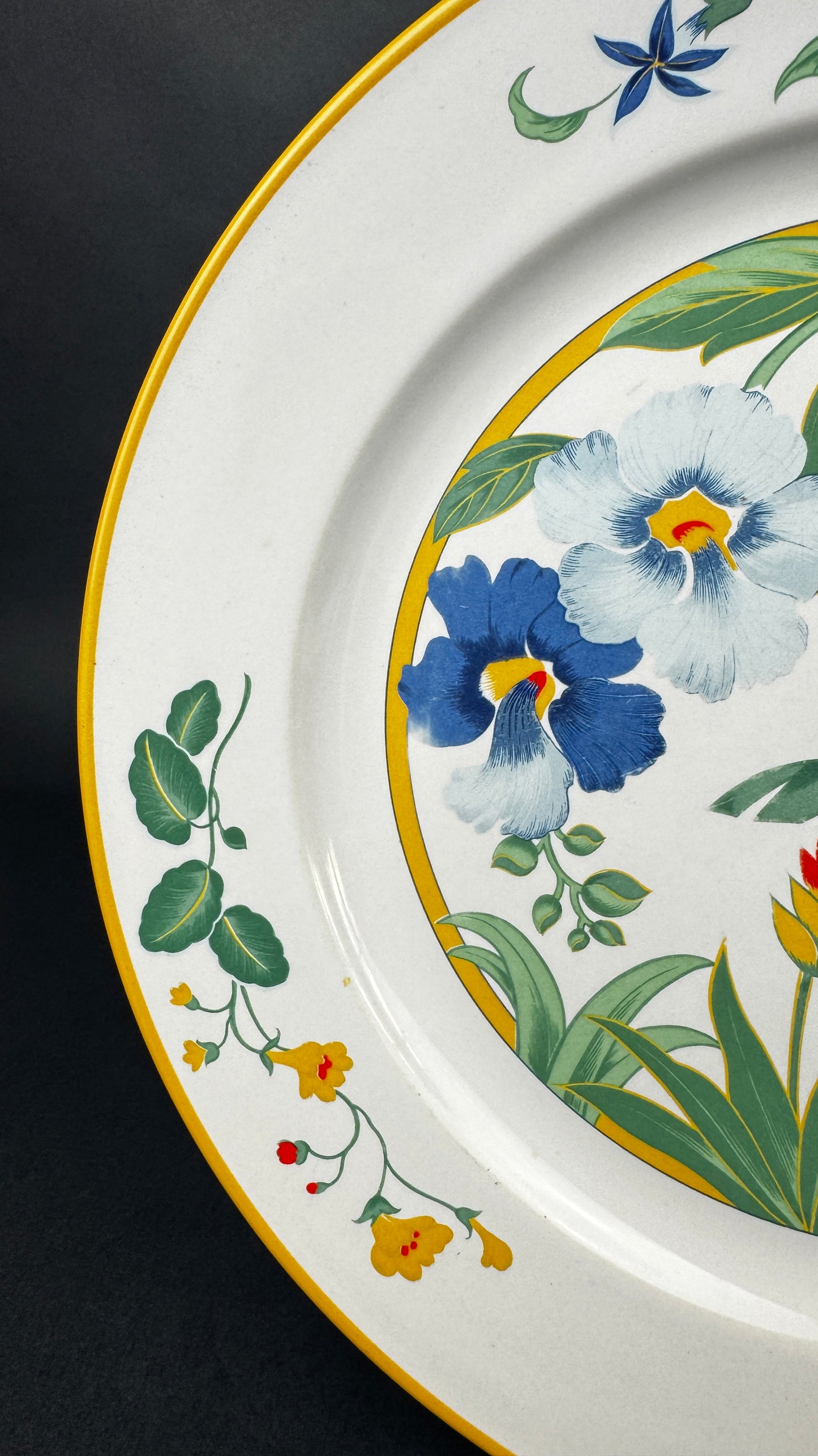 Assiette plate Pier Import modèle ARA 27,5 cm