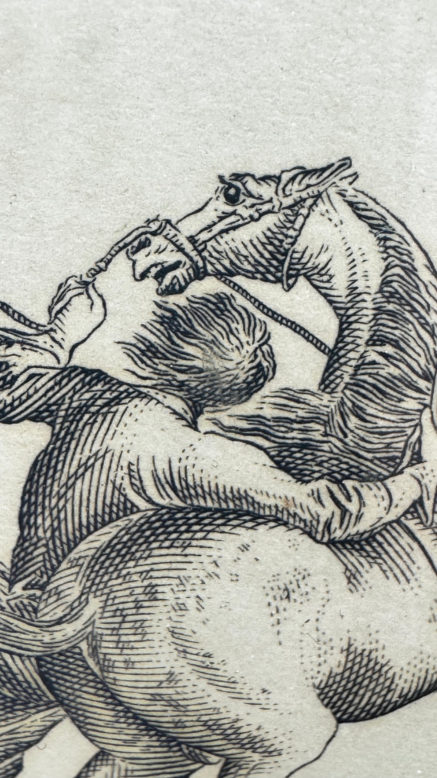 Petite gravure, scène de dressage