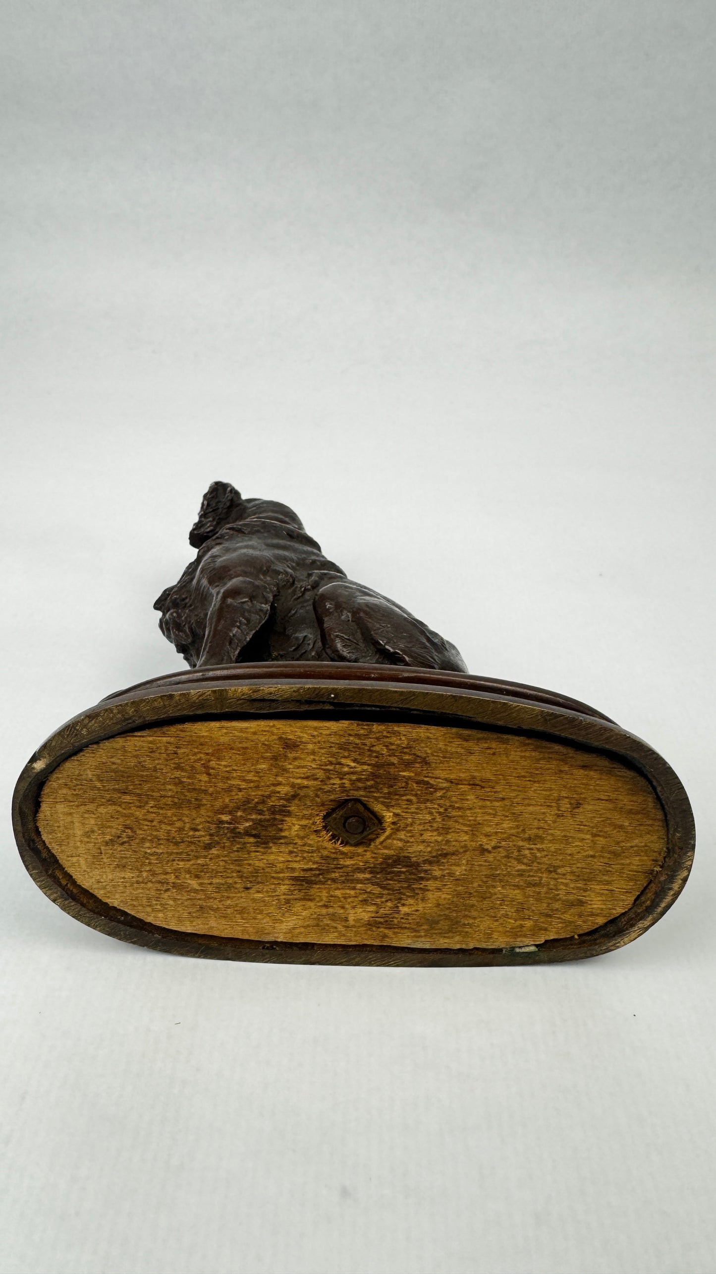 Bronze animalier signé Delabriere chien de chasse 16,5 cm