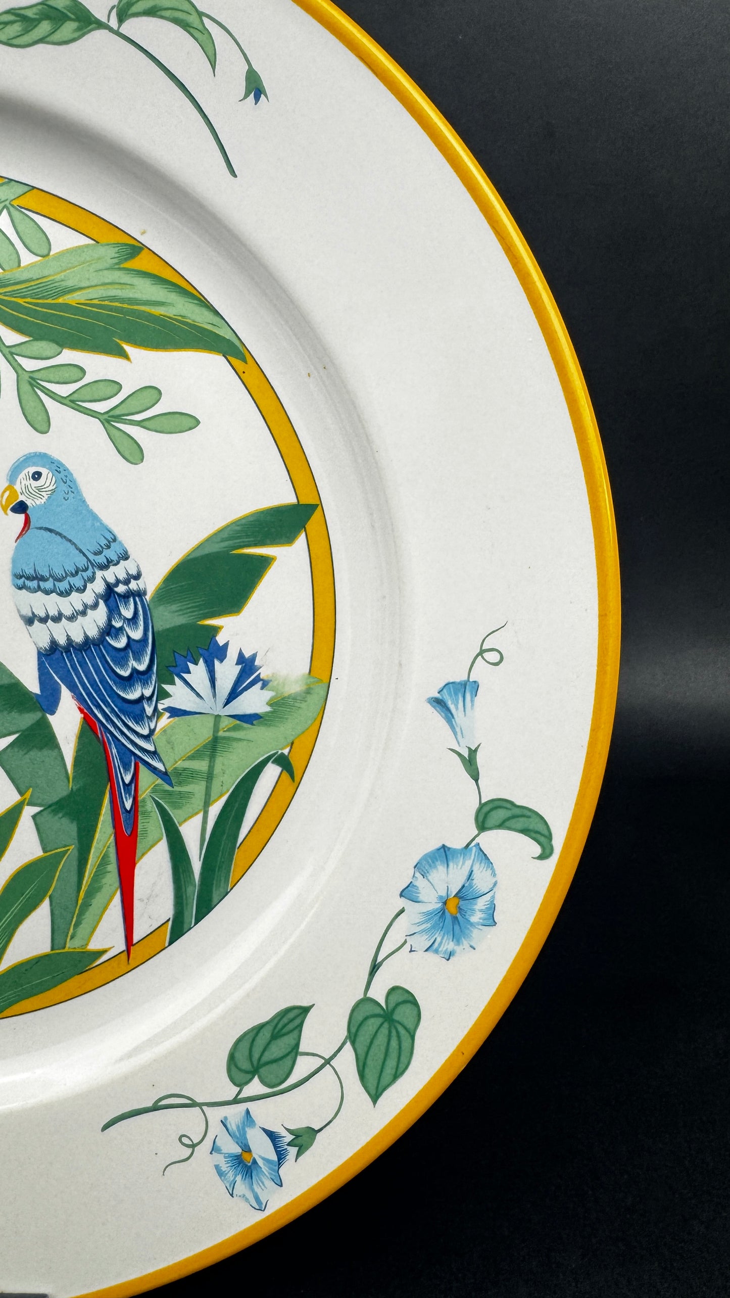 Assiette plate Pier Import modèle ARA 27,5 cm
