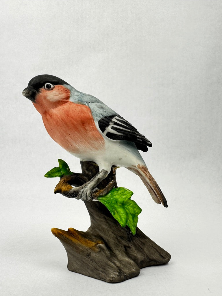 Bouvreuil pivoine en porcelaine non émaillée – vers 1950