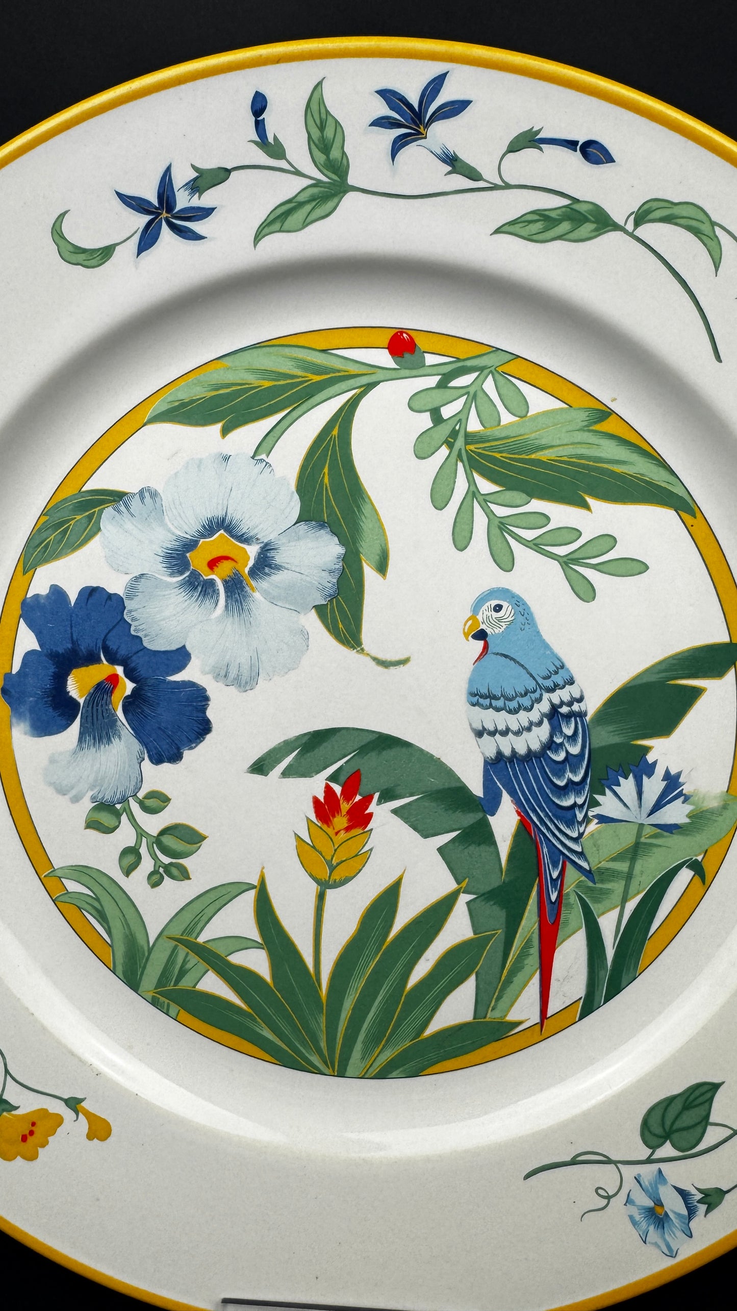 Assiette plate Pier Import modèle ARA 27,5 cm